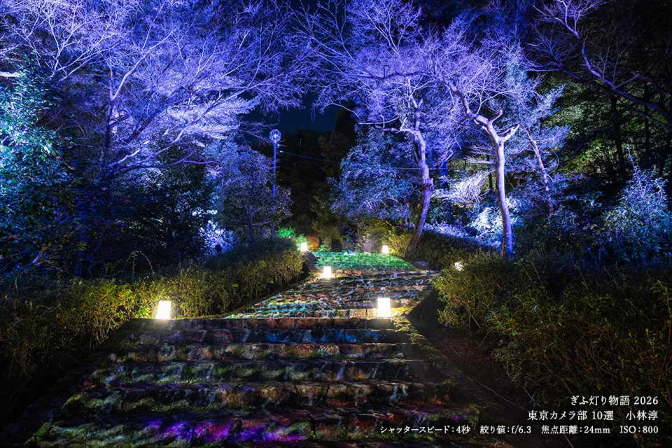 東京カメラ部10選 小林淳の作品